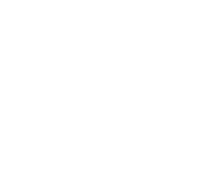 TAAEF-Logo-Redesign_White-300x258
