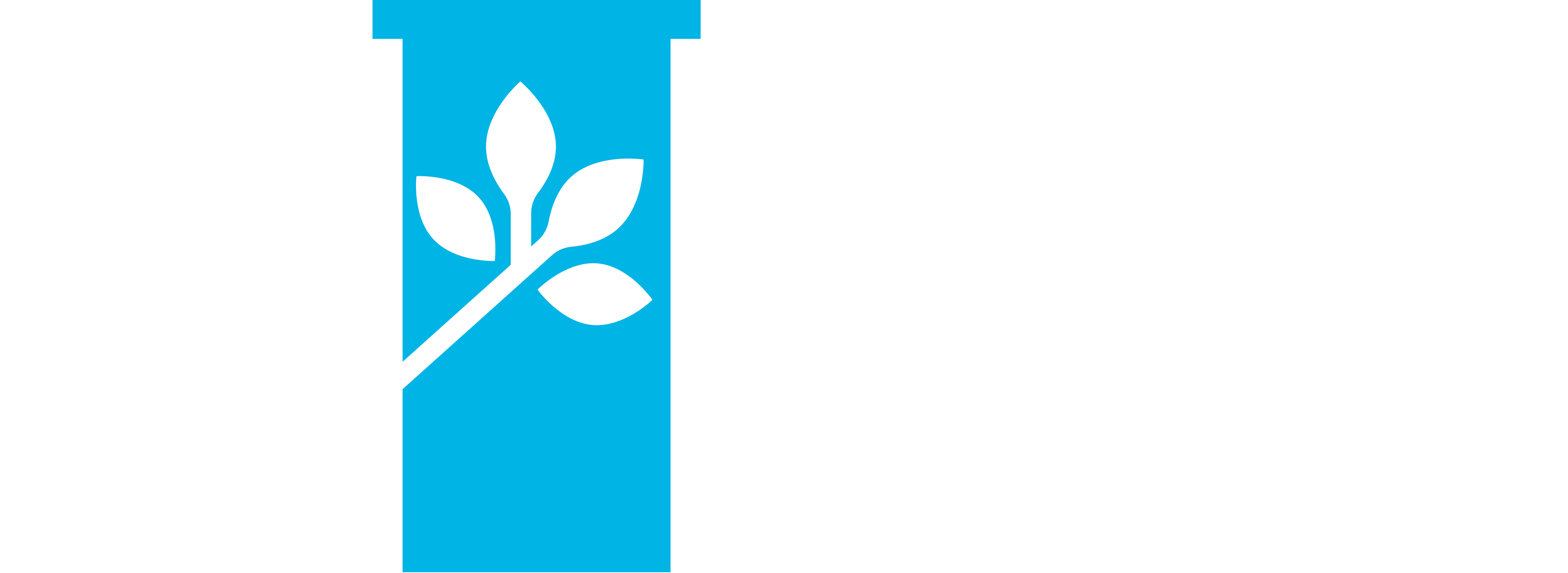 RoomtoGrow-Logo-Redesign_Reverse